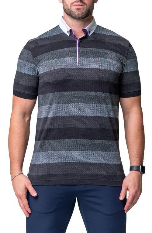 Maceoo Mozartpolk Black Stripe Cotton Polo Product Image