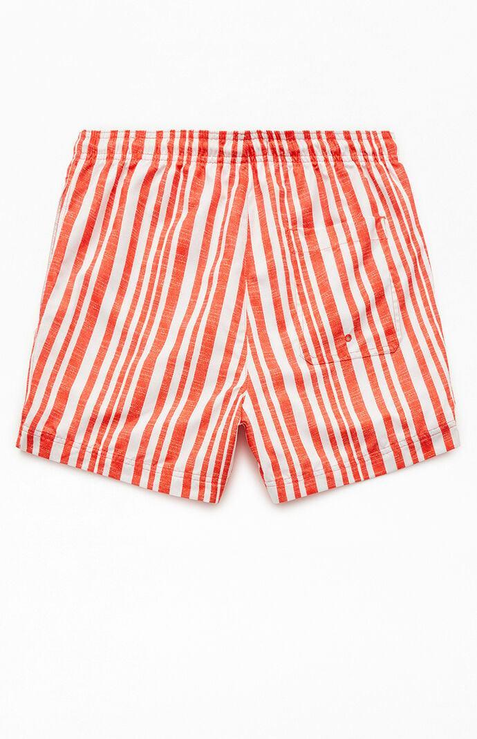 Men's Rosey Striped 4.5" Swim Trunks Product Image