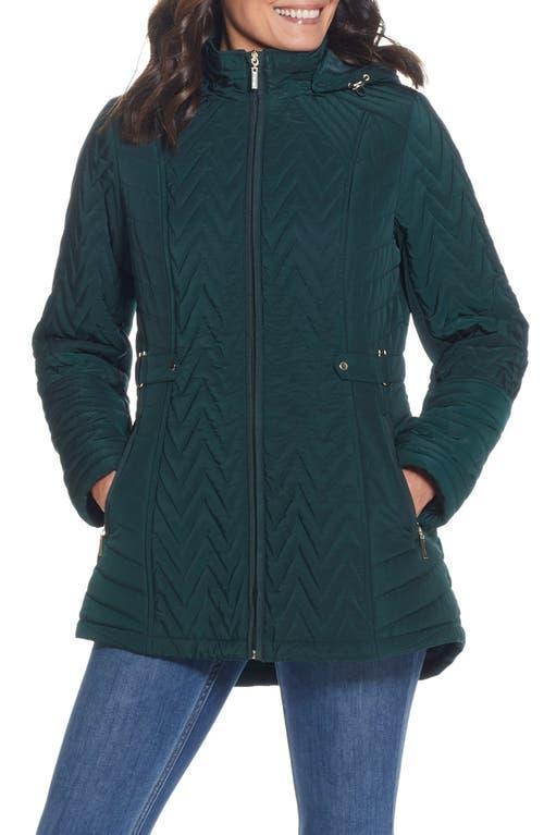 Gallery Hooded Quilt Jacket Product Image