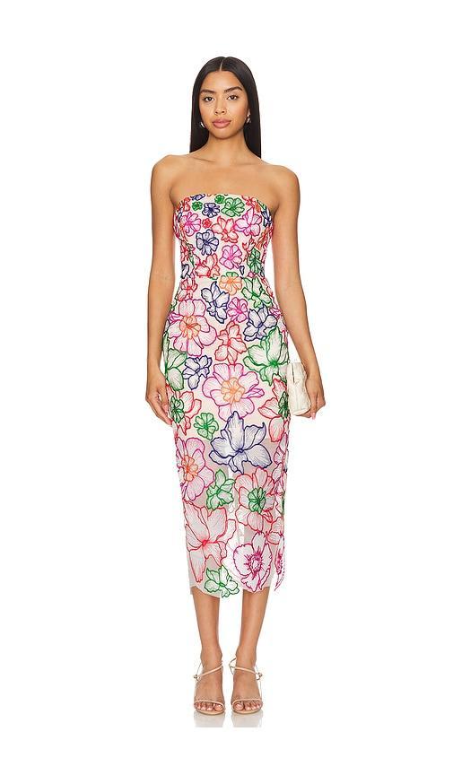 Cascading Floral Embroidered Dress Product Image