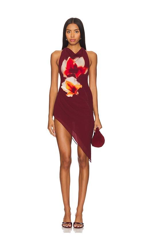 Lovers and Friends x Maggie MacDonald Emery Mini Dress in Burgundy Product Image