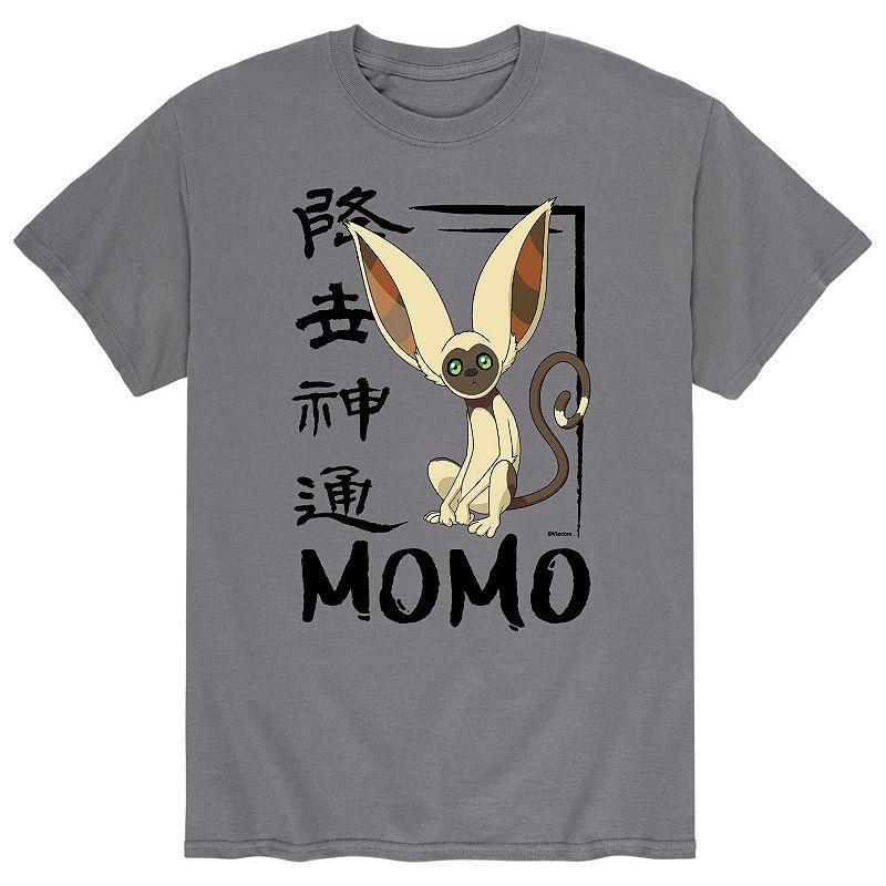 Big & Tall Avatar The Last Airbender Momo Graphic Tee, Mens Product Image