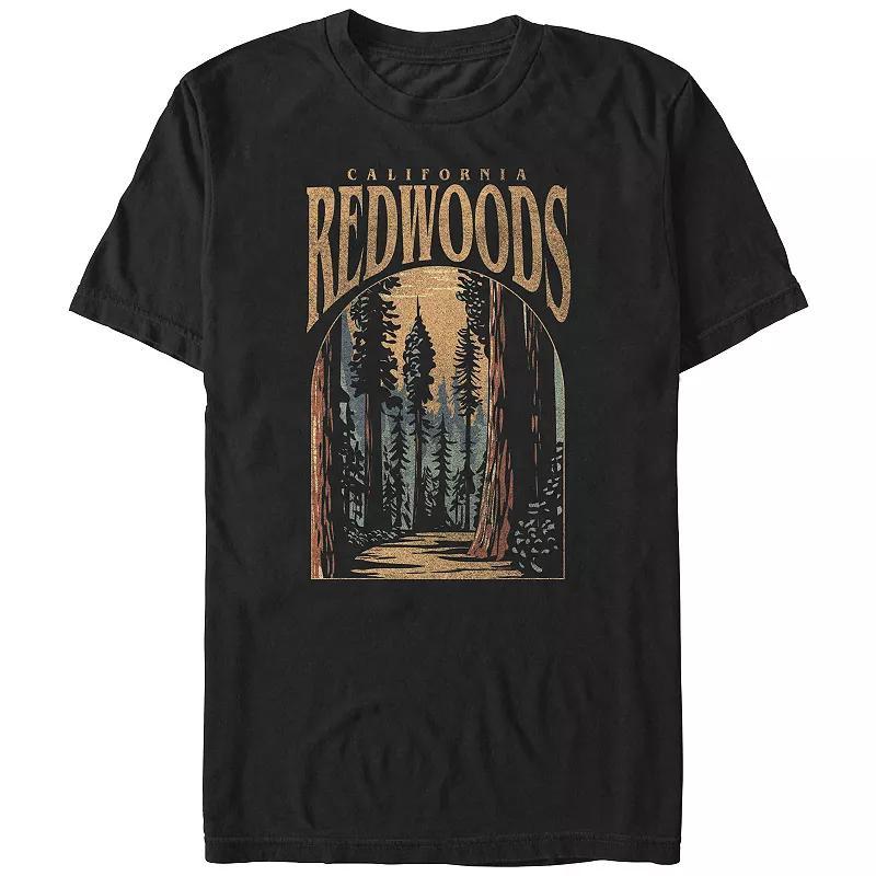 Big & Tall California Redwoods Graphic Tee, Mens Product Image