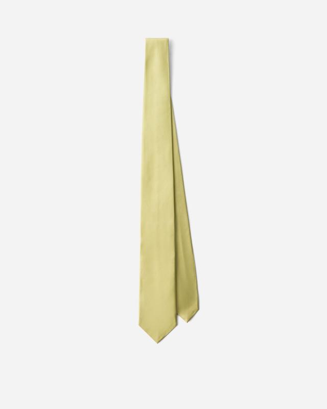 Silk tie Product Image