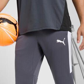 PUMA Speed Men's Pants in Galactic Grey/White Product Image