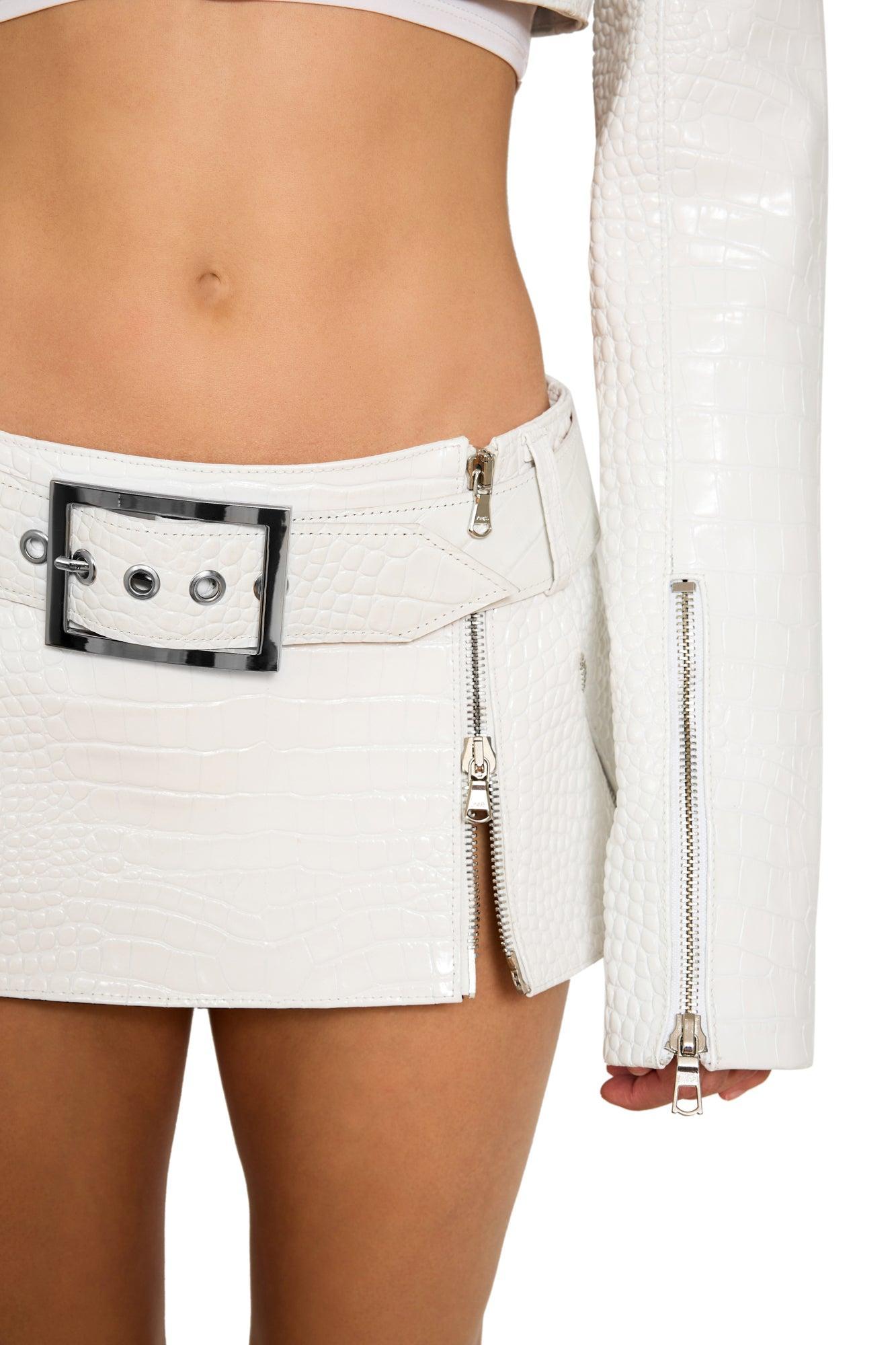 Mini Skirt with Zipper Detail Product Image