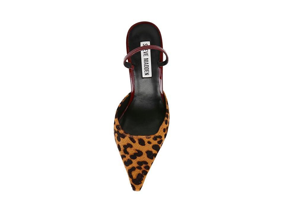 Steve Madden Drew (Leopard) Women's Shoes Product Image