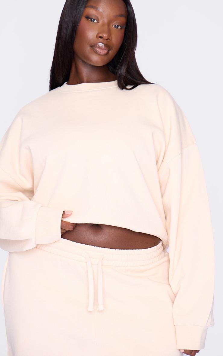 Plus Ecru Premium Basic Crew Neck Crop Sweatshirt Product Image