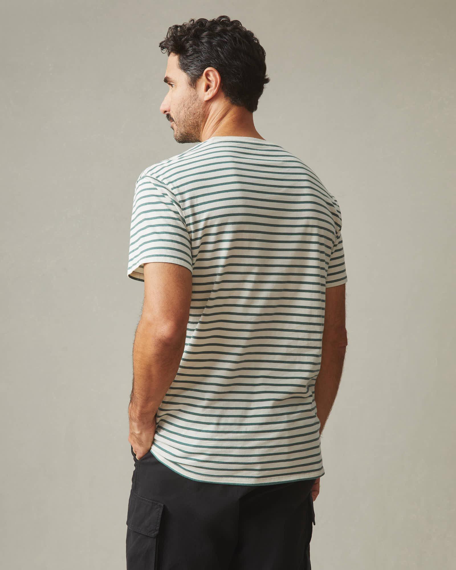 Classic Cotton Crew Tee Striped - Sagebrush Green Stripe Male Product Image