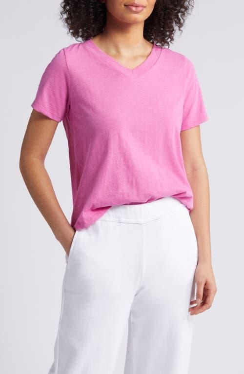 Eileen Fisher Cotton Short Sleeve V Neck Tee Product Image