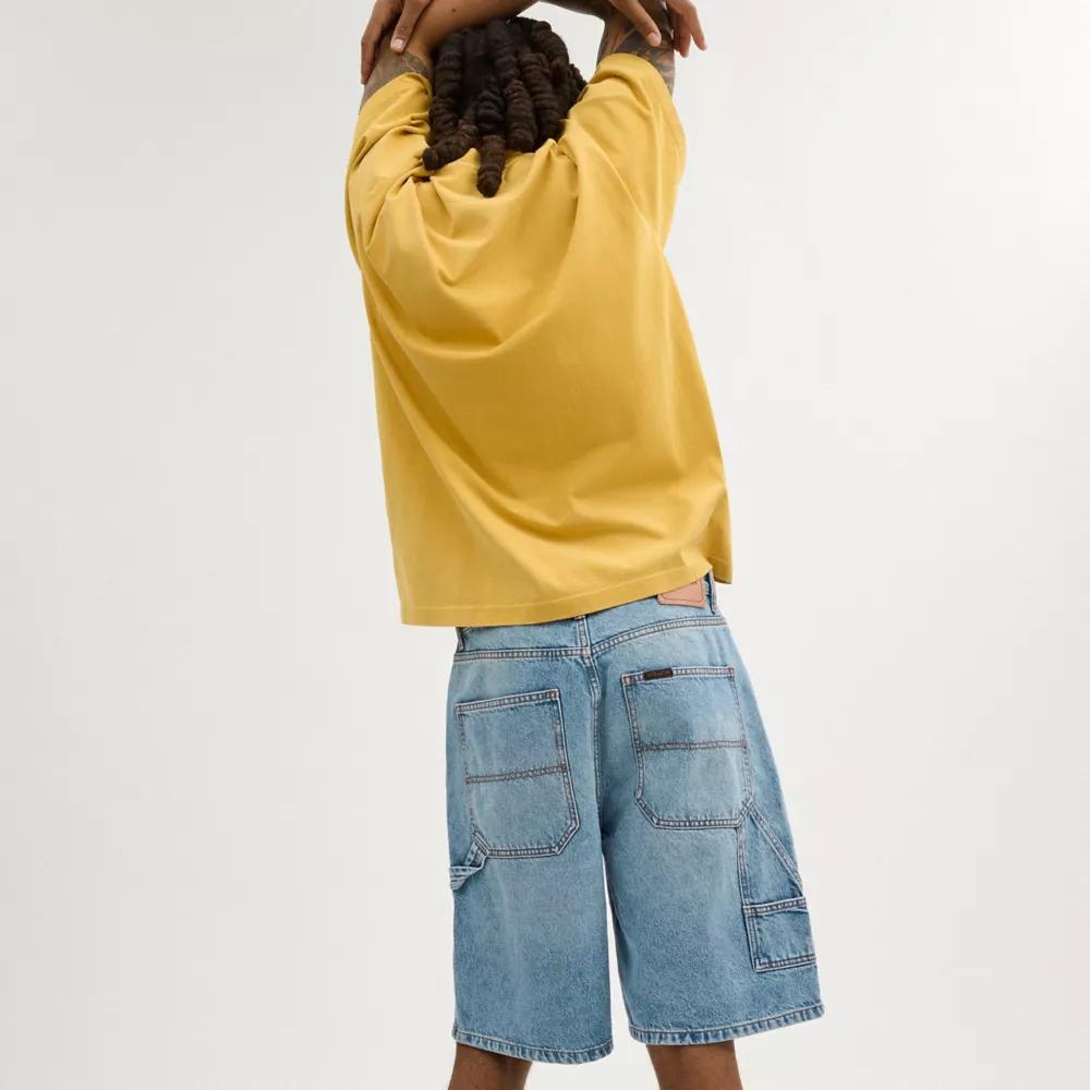 Denim Shorts Product Image