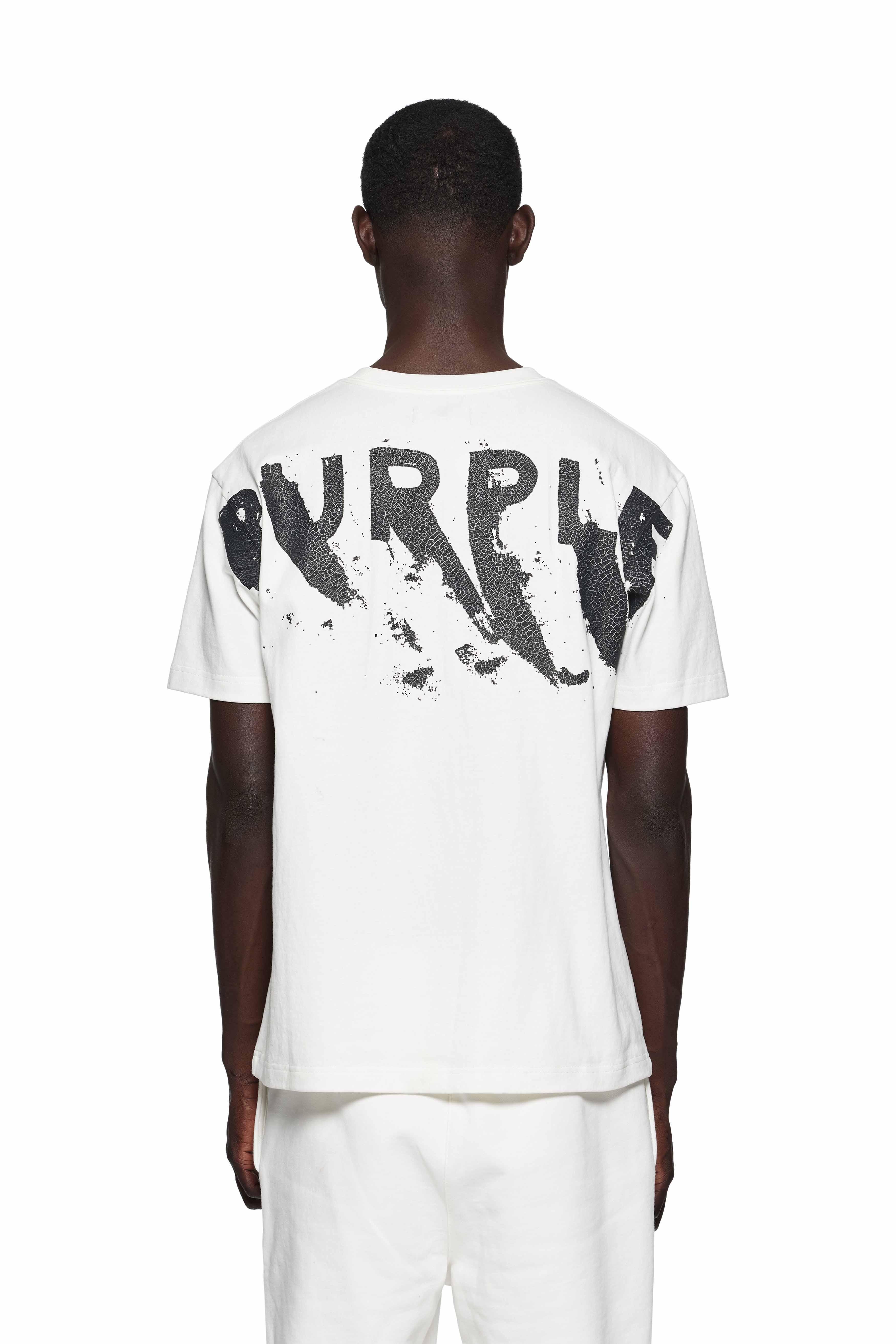 Painted Wordmark Tee Male Product Image