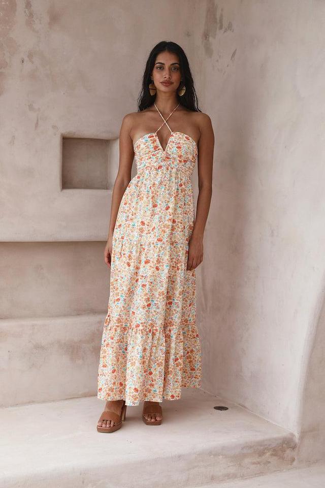 Summer in Paradise Maxi Dress orange Product Image