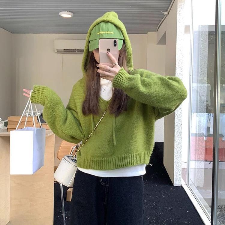 Plain Hooded Cropped Sweater Product Image