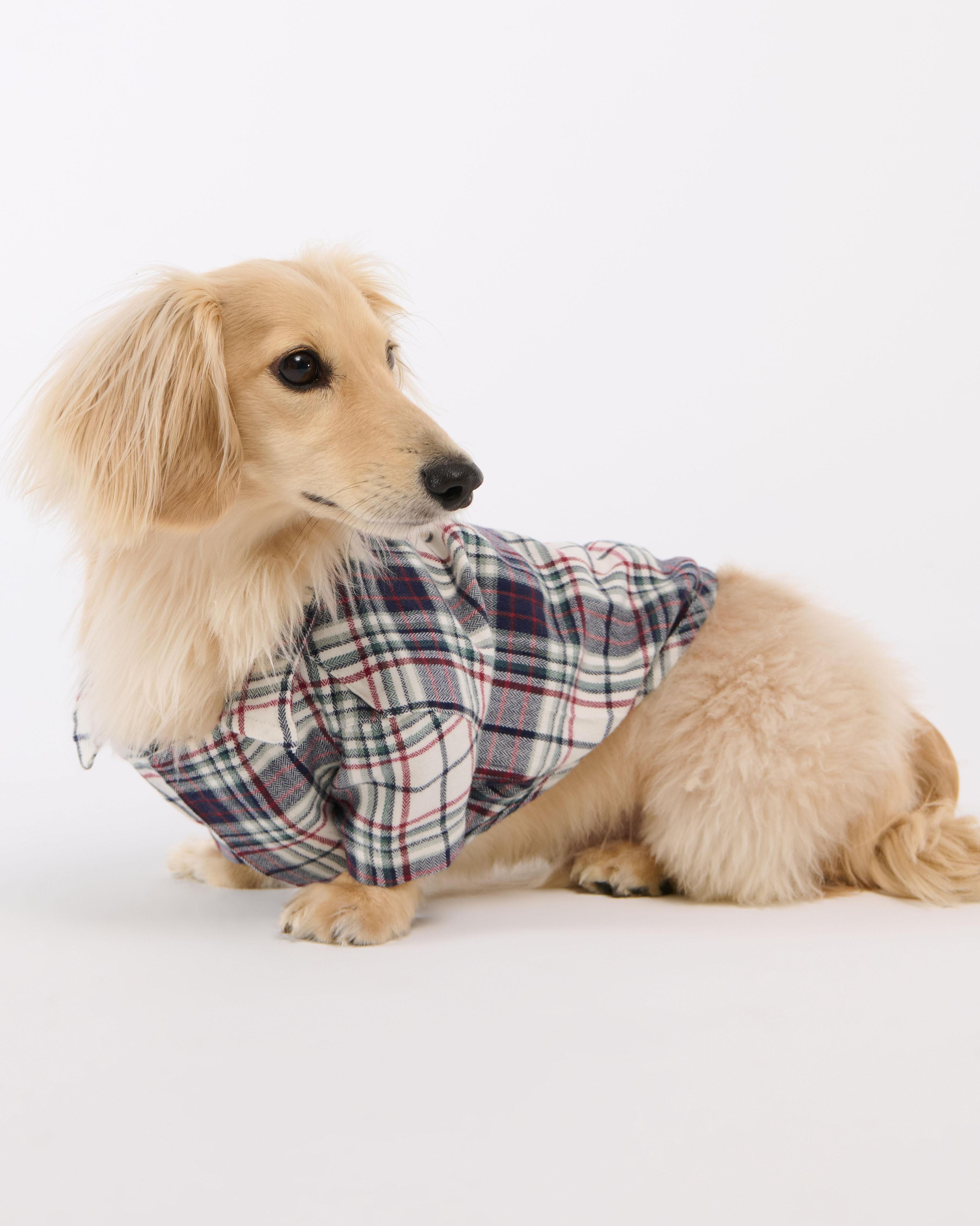 A&F Pet Flannel Product Image