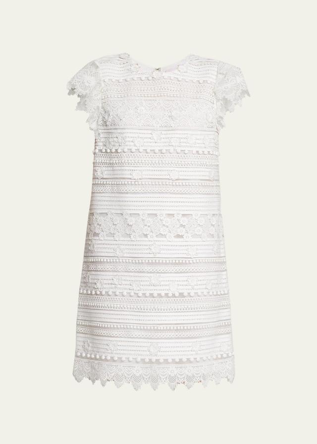 Embroidered Mini Shift Dress with Ruffle Sleeves Product Image