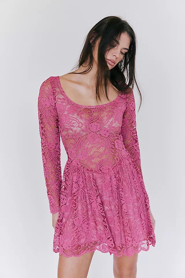 Nightcap Tulip Lace Mini Dress Product Image