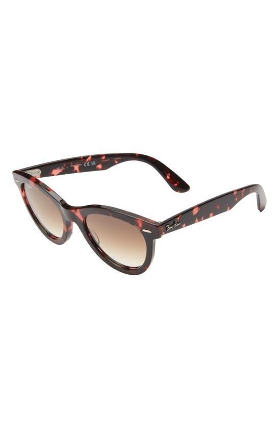 RAY BAN Way Wayfarer 51mm Oval Sunglasses In Havana Pink Product Image