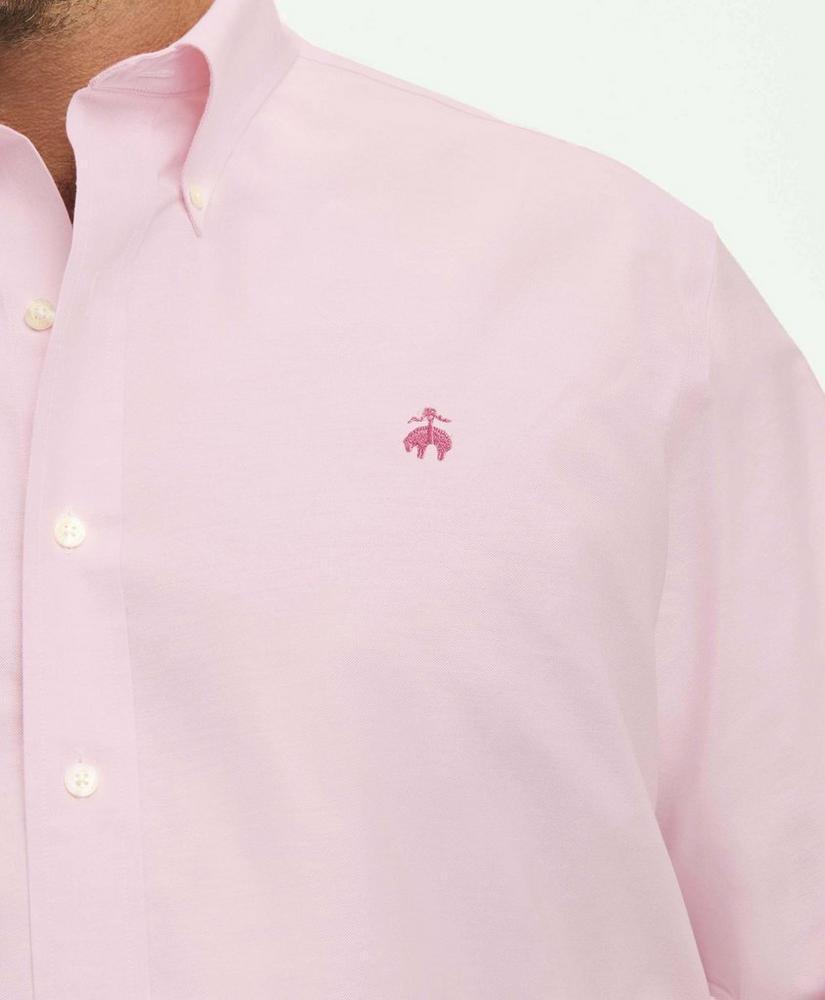 Big & Tall Stretch  Cotton Non-Iron Oxford Polo Button Down Collar Shirt Product Image