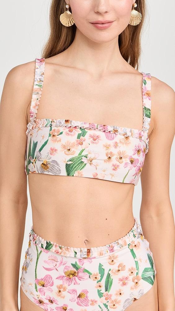 Agua by Agua Bendita Olmo Jardinera Bikini Top | Shopbop Product Image