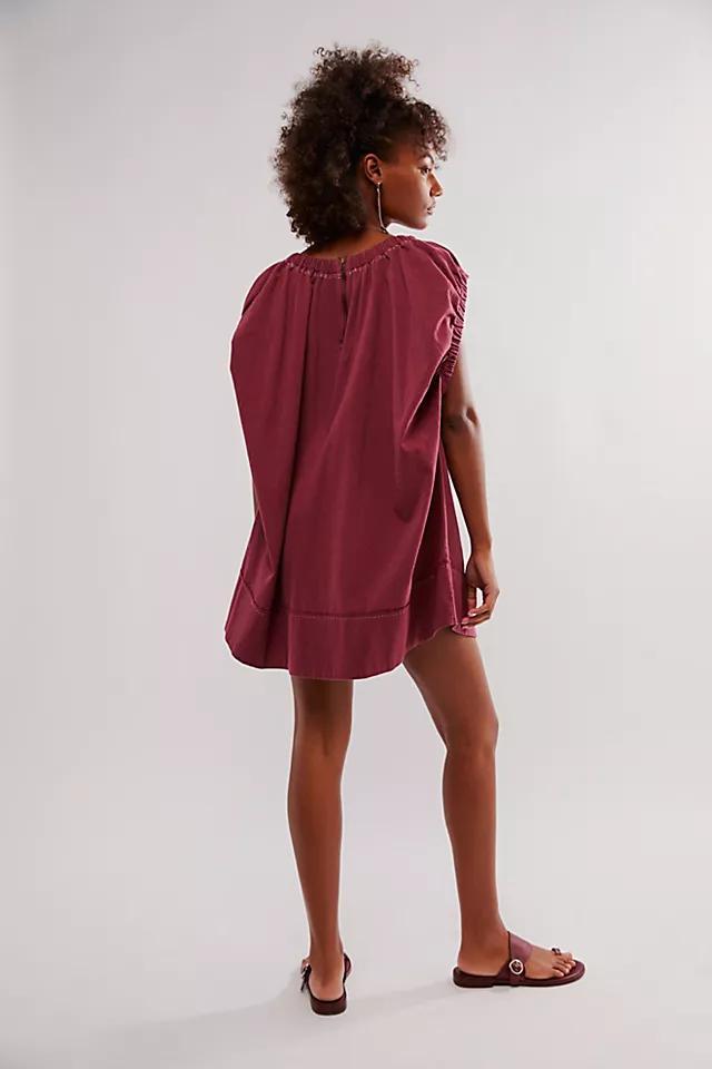 Siegel Mini Dress product image