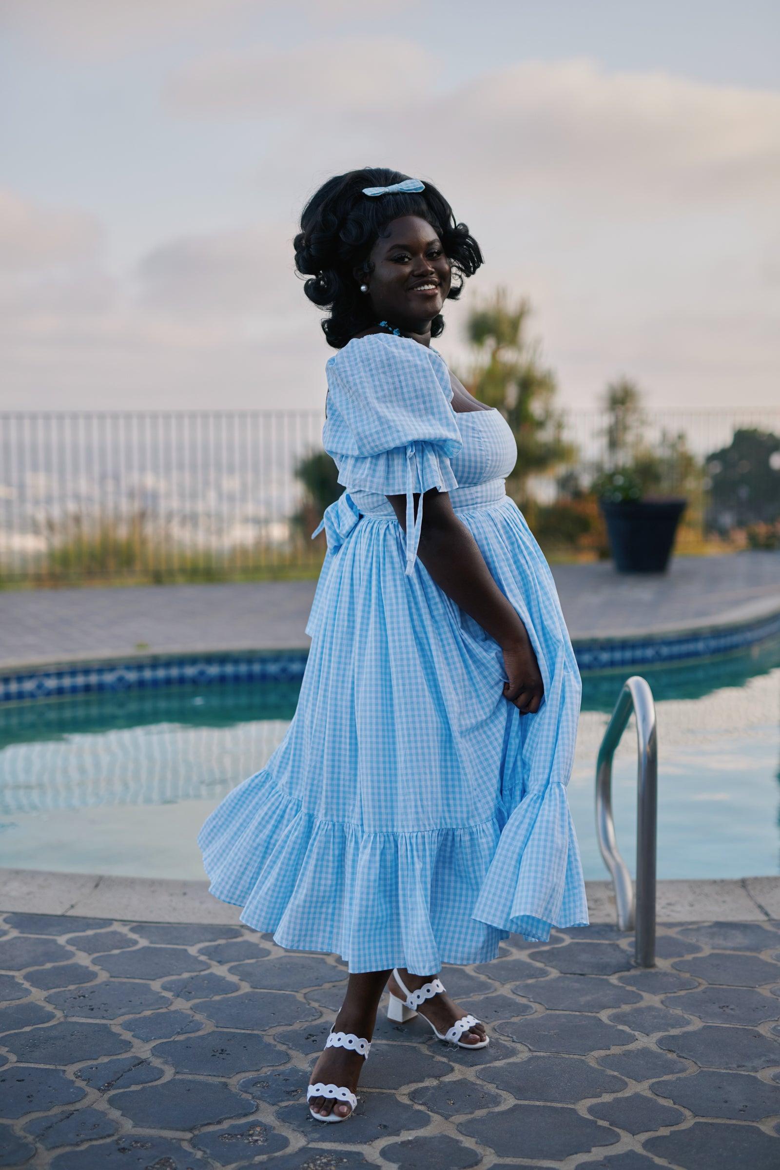 The Blue Gingham Market Dress Product Image