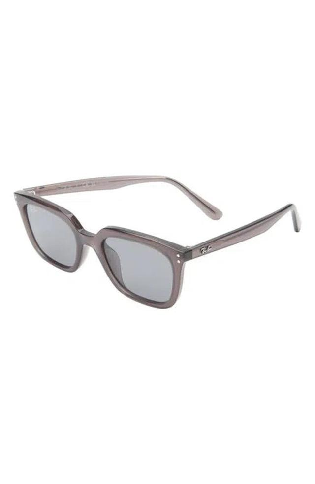 RAY BAN Ray-ban 54mm Square Sunglasses In Brown Product Image