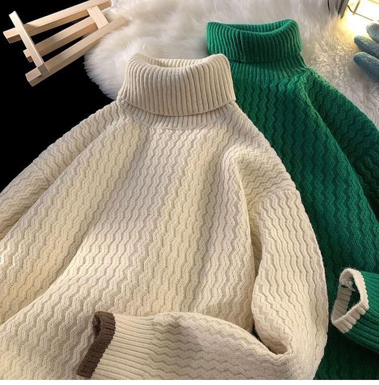 Turtleneck Plain Sweater Product Image