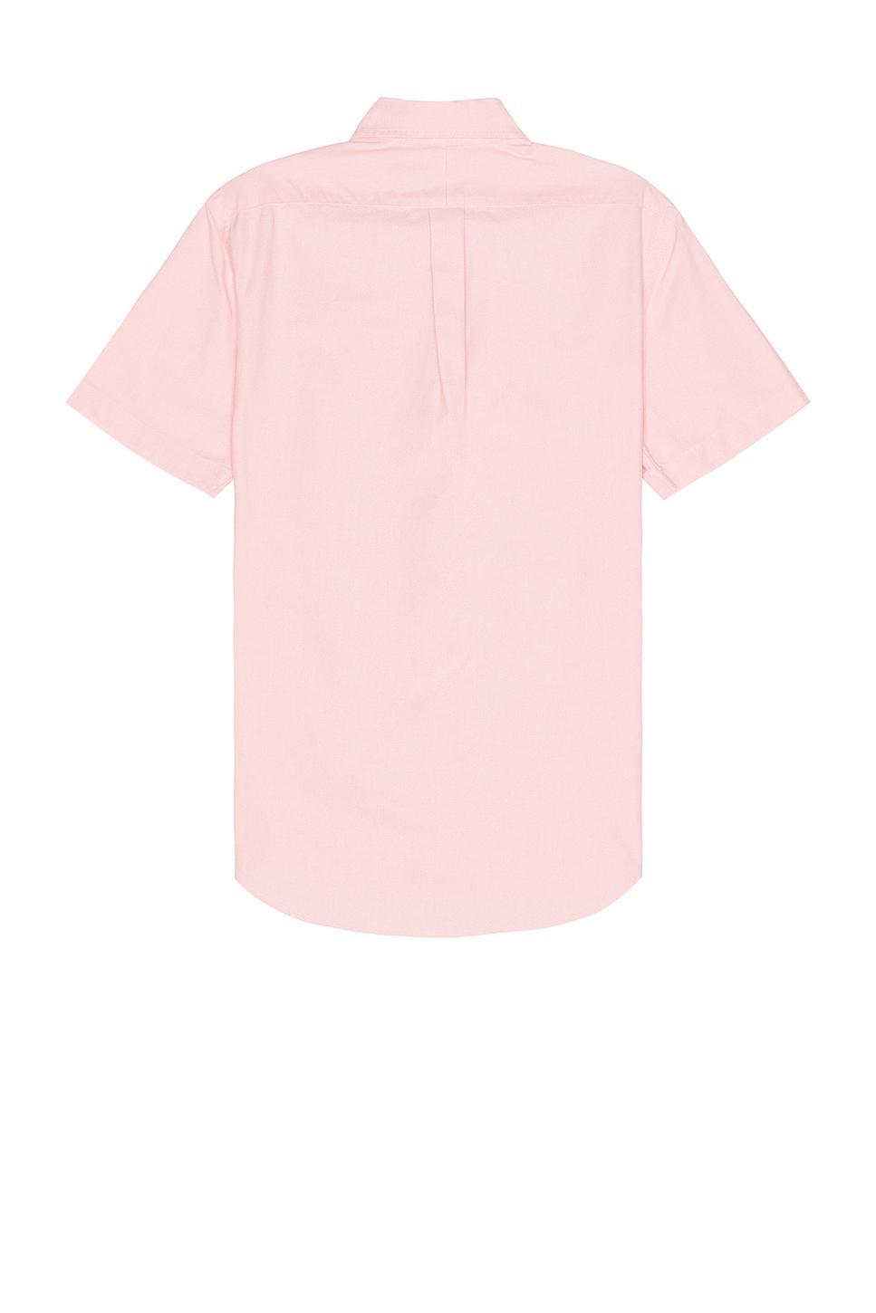 Polo Ralph Lauren Oxford Short Sleeve Shirt Pink. (also in XL/1X). Product Image