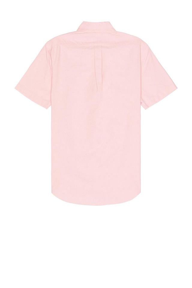 Polo Ralph Lauren Oxford Short Sleeve Shirt in Pink - Pink. Size S (also in M, L, XL/1X). Product Image