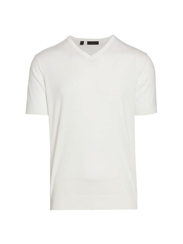 Mens COLLECTION V-Neck Shine Sweater Shirt Product Image