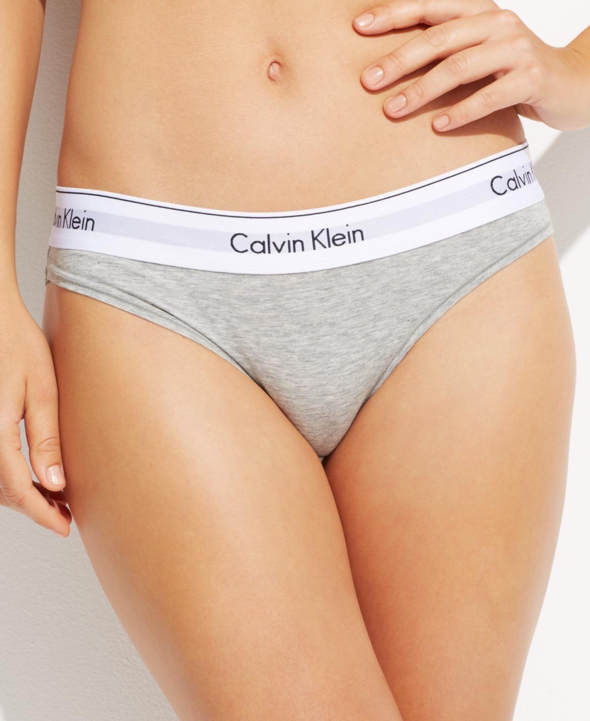 Calvin Klein Modern Cotton Bikini Panty F3787, Womens Med Brown Product Image