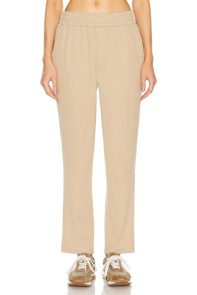 WAO Ribbed Knit Pant Product Image