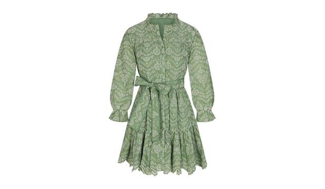 Womens Jillian Dress Mint embroidery Product Image