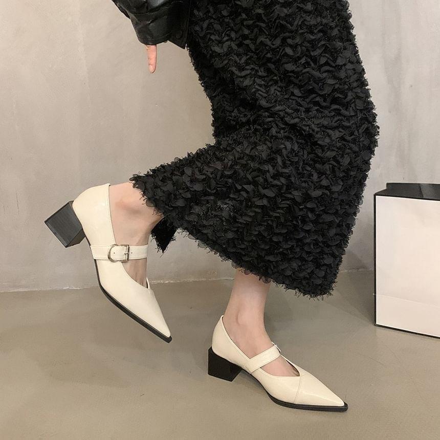 Pointed Toe Block Heel Mary Jane Pumps Product Image