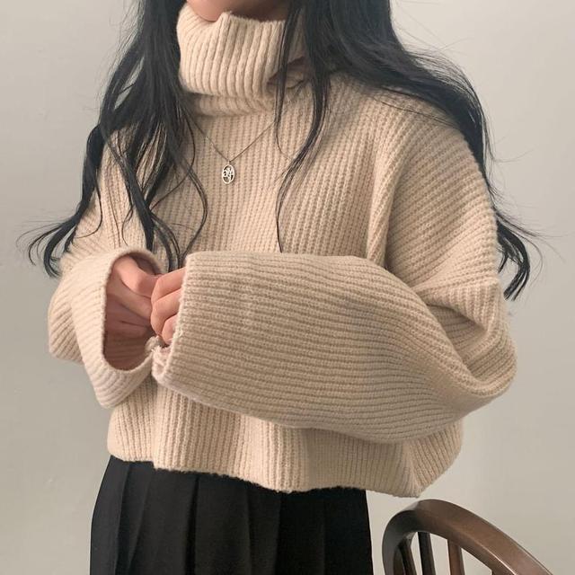 Turtleneck Plain Ribbed Cropped Sweater Product Image