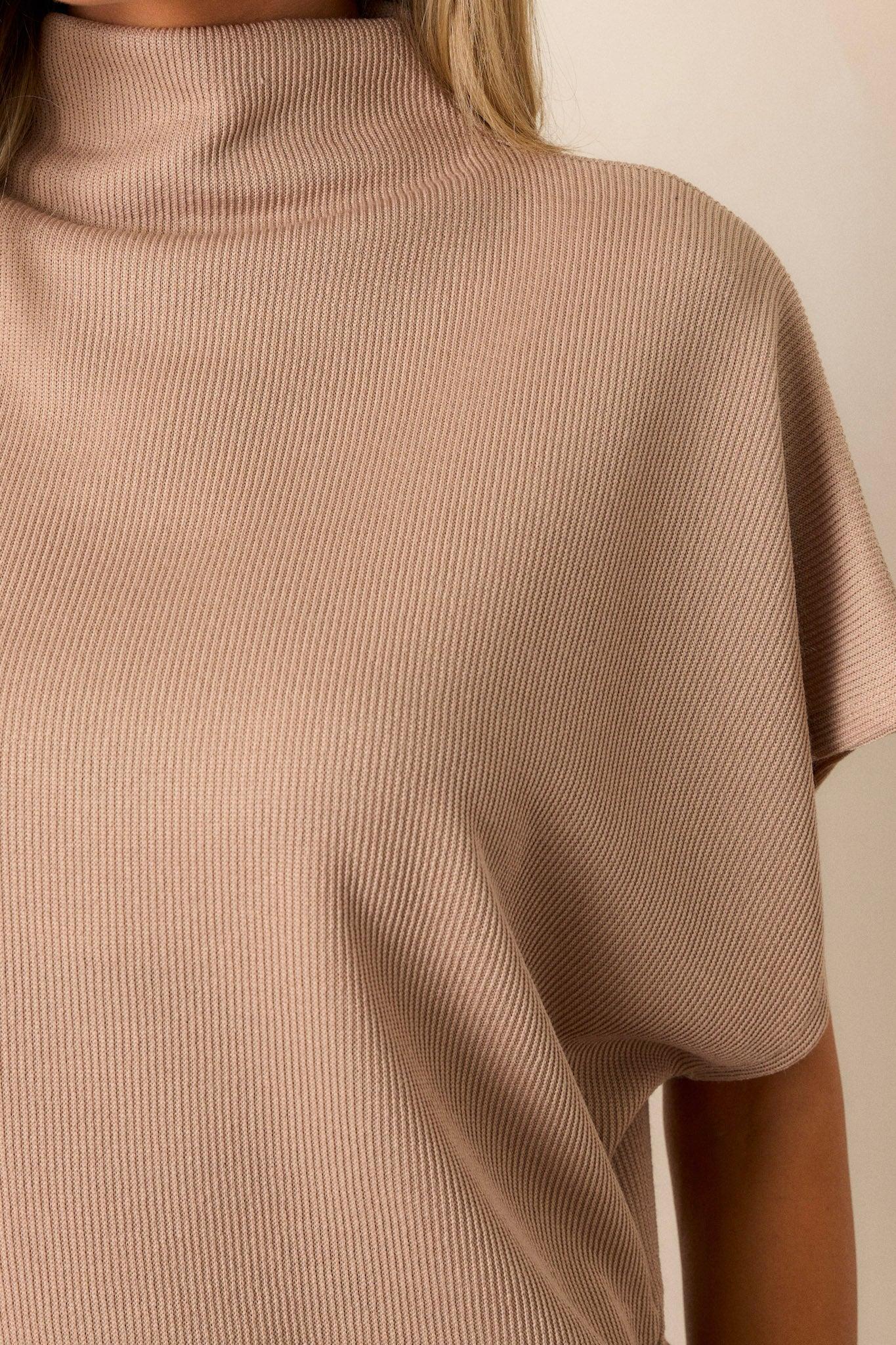 Carolina Plains Beige Knit Mock Neck Top Product Image