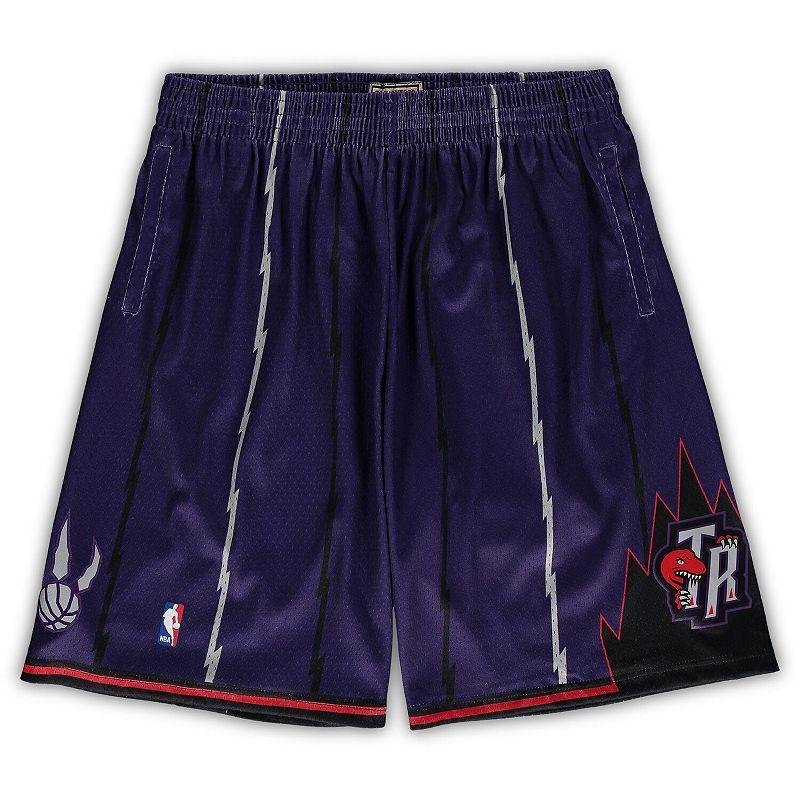 Mens Mitchell & Ness Purple Toronto Raptors Big & Tall Hardwood Classics Team Swingman Shorts Product Image