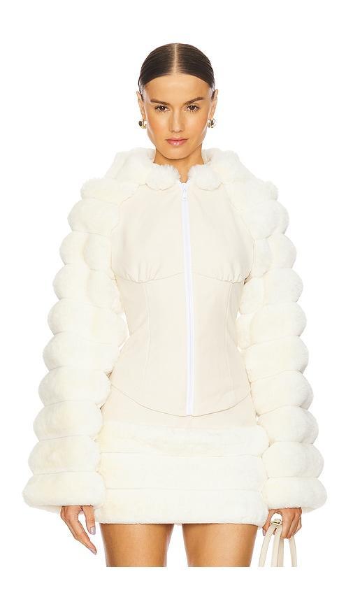 Faux Fur Hooded Jacket Product Image