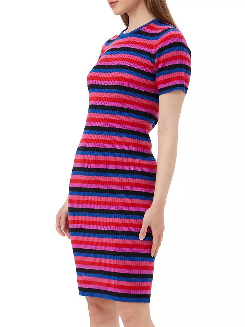 Nijinski Stripe Sweaterdress Product Image