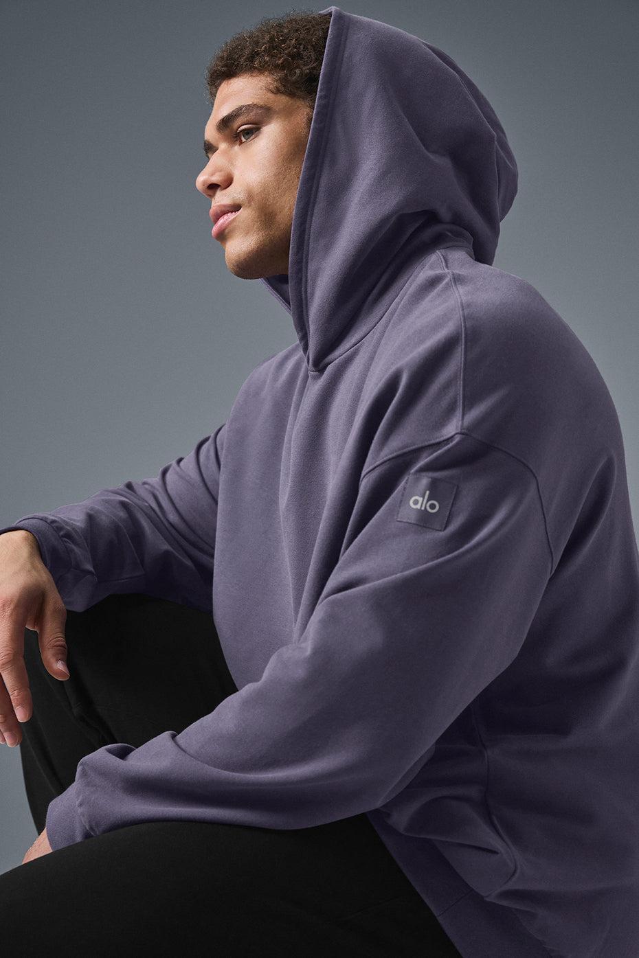 Double Take Hoodie - Italian Plum Male Product Image