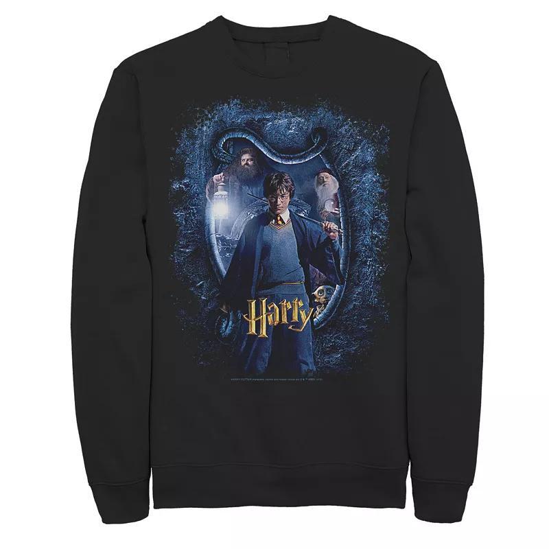 Mens Harry Potter And The Chamber Of Secrets Harry Portrait Sweatshirt Product Image