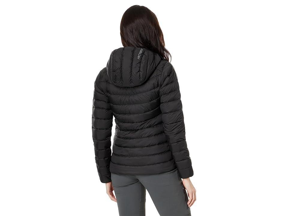 Arc'teryx Cerium Hoody 2) Women's Clothing Product Image