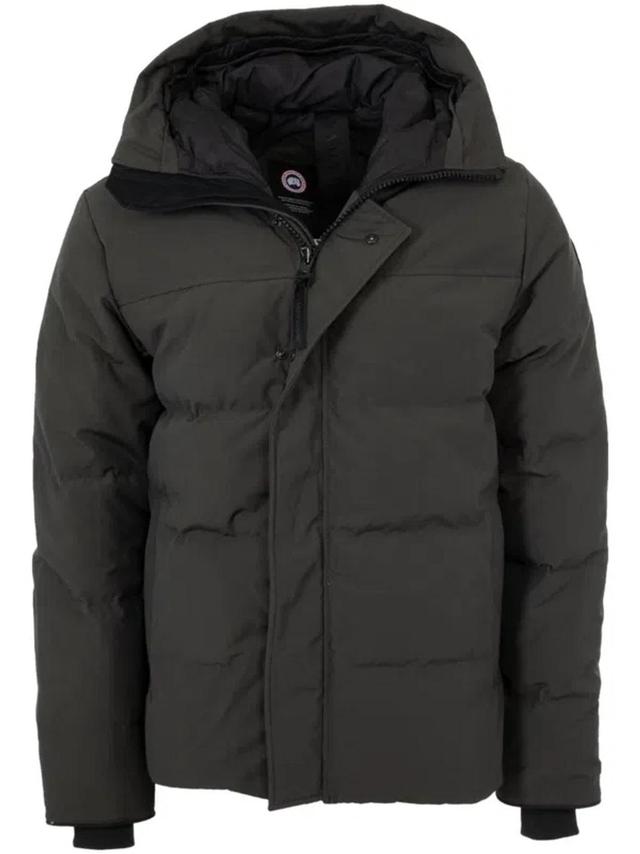 CANADA GOOSE Gray Macmillan Down Jacket In Grey Product Image