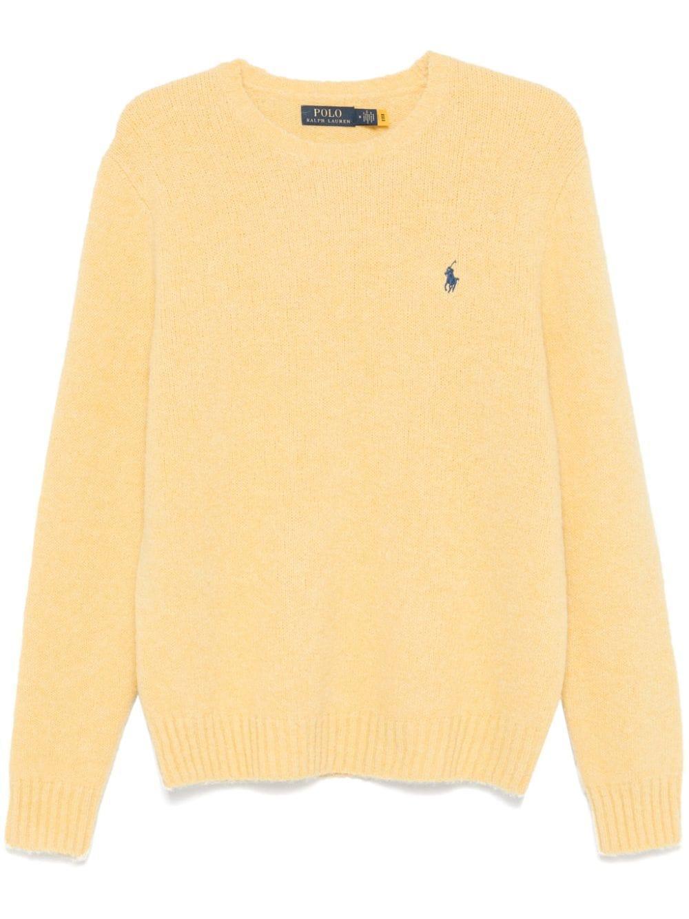 Polo Pony-embroidered Sweater In Yellow Product Image