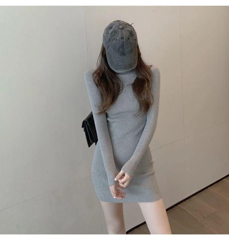 Long Sleeve Turtleneck Plain Ribbed Knit Bodycon Mini Dress Product Image