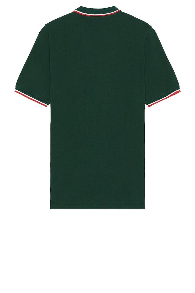 Polo Ralph Lauren Polo Green. (also in ). Product Image