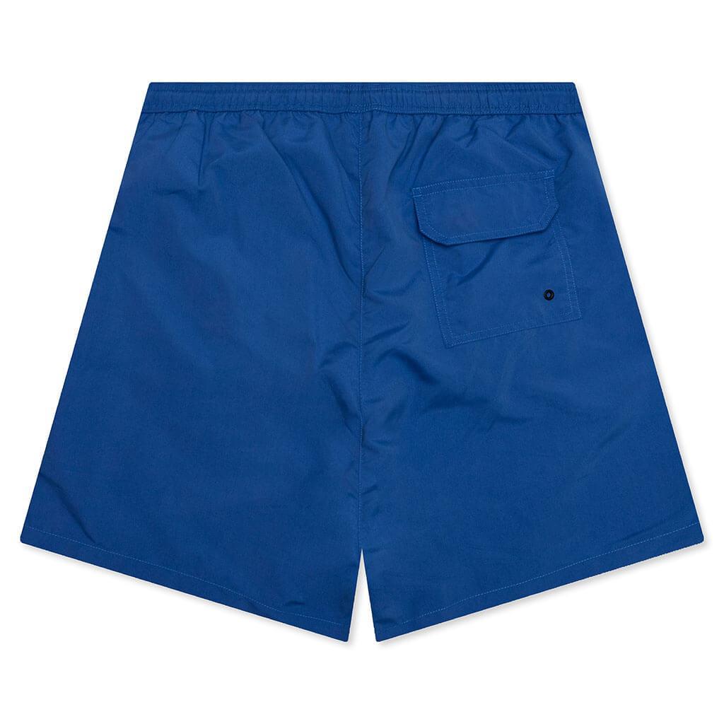 Nylon Swim Shorts - Blue Male Product Image