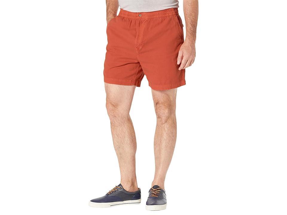 Polo Ralph Lauren 6 Polo Prepster Oxford Shorts (Elite ) Men's Shorts Product Image