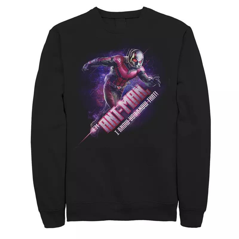 Mens Marvel Avengers Endgame Ant-Man Sweatshirt Black Product Image